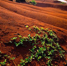 拳头《无畏契约》国服上线后 腾讯计划设立新职业联赛